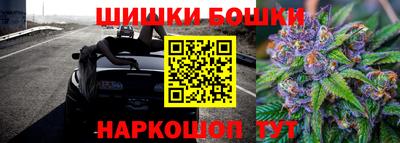 МДПВ Лесосибирск
