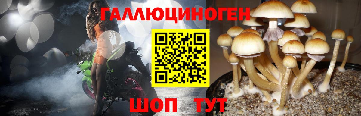 Псилоцибиновые грибы ЛСД  Вход с VPN  Дивногорск  Псилоцибиновые грибы Psilocybe 