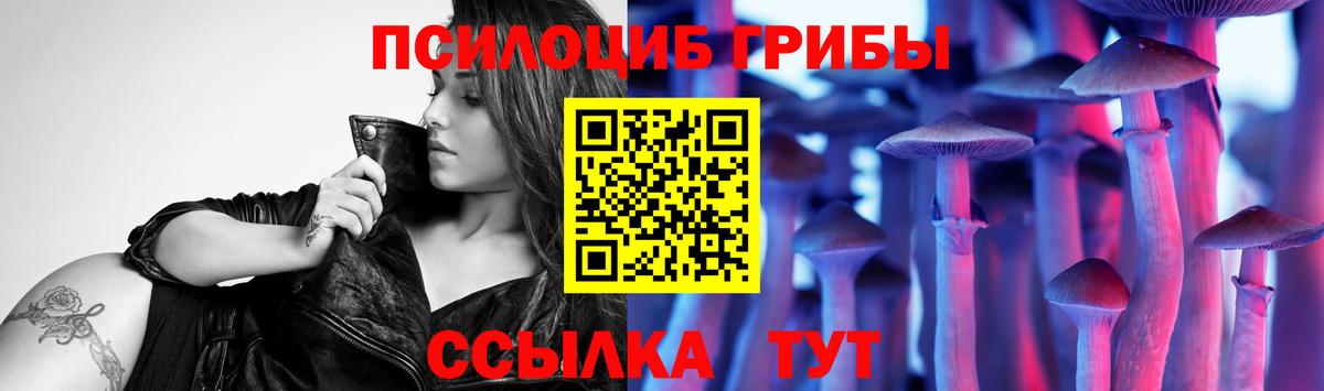 Галлюциногенные грибы Psilocybine cubensis Дивногорск